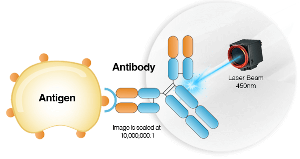 Edison Antigen